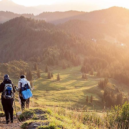Das Grasberghaus Luaran gambar