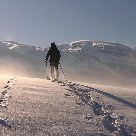 Das Grasberghaus Luaran gambar